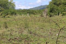 Farm/Agriculture for Sale in Braes River