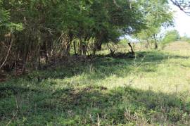 Farm/Agriculture for Sale in Braes River