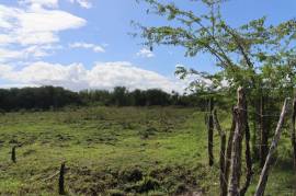 Farm/Agriculture for Sale in Braes River