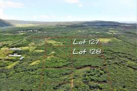 Farm/Agriculture for Sale in Spanish Town