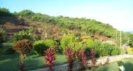 6 Bedrooms 6 Bathrooms, Resort Apartment/Villa for Sale in Lucea