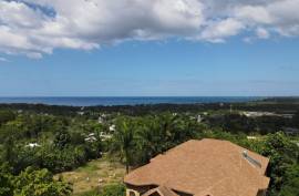 4 Bedroom House For Sale In Westmoreland