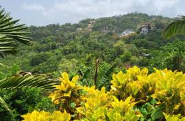 5 Bedroom House For Sale In Kingston & St. Andrew