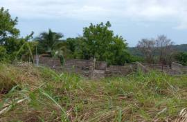 7 Bedroom House For Sale In St. Ann