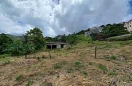 7 Bedroom House For Sale In St. Ann