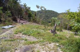 1 Bedroom House For Sale In St. Ann