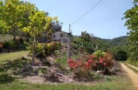 1 Bedroom House For Sale In St. Ann