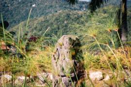 Resort Apartment/Villa for Sale Montego Bay