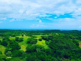 Development Land (Residential) for Rent Hanover, G