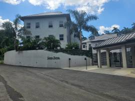 Apartment for Rent St. James, Reading