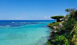 Apartment for Rent St. Ann, Ocho Rios