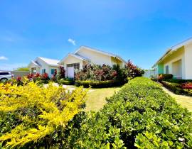 House for Rent Hanover, Lucea