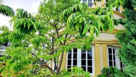 Townhouse for Rent St. James, Ironshore