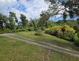 House for Rent St. James, Kempshot Pen