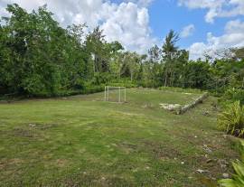 House for Rent St. James, Kempshot Pen