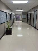 Commercial Bldg/Offices for Rent Kingston & St. An