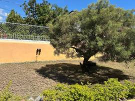 House for Rent Kingston & St. Andrew, Kingston 8