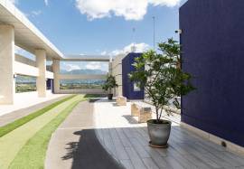 Apartment for Rent Kingston & St. Andrew, Kingston