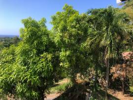 House for Rent St. Ann, Ocho Rios