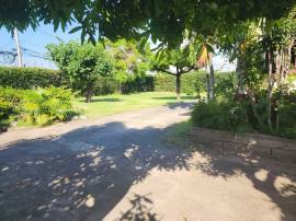 Commercial Bldg/Offices for Rent Kingston & St. An