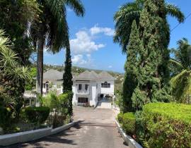 Apartment for Rent St. James, Montego Bay