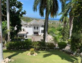 Apartment for Rent St. James, Montego Bay