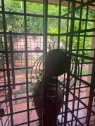 Townhouse for Rent Kingston & St. Andrew, Kingston