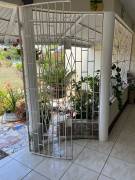 House for Rent St. Elizabeth, Black River