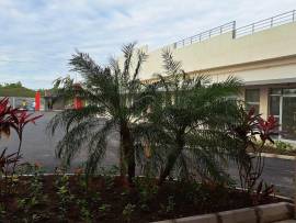 Commercial Bldg/Offices for Rent St. James, Monteg