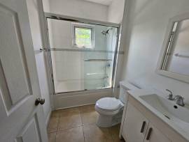 Apartment for Rent St. James, Montego Bay