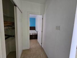 Apartment for Rent St. James, Montego Bay
