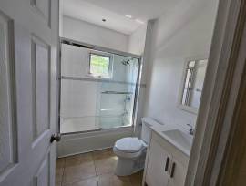 Apartment for Rent St. James, Montego Bay