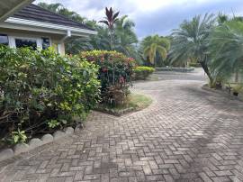 House for Rent St. Ann, St. Ann's Bay