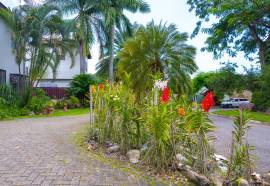 House for Rent Kingston & St. Andrew, Kingston 8