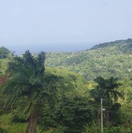 Development Land (Residential) for Sale St. Ann, L