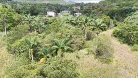 Development Land (Residential) for Sale St. Ann, L