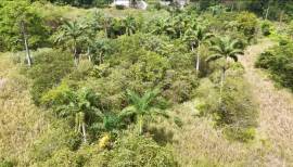 Development Land (Residential) for Sale St. Ann, L