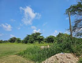 Development Land (Residential) for Sale St. James,