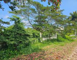 Development Land (Residential) for Sale St. James,