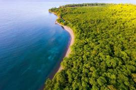 Development Land (Residential) for Sale Portland, 