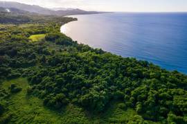 Development Land (Residential) for Sale Portland, 