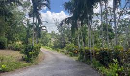 House for Sale Manchester, Mandeville