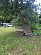 Development Land (Residential) for Sale Kingston &