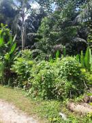 Development Land (Residential) for Sale Kingston &