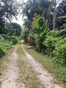 Development Land (Residential) for Sale Kingston &