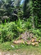 Development Land (Residential) for Sale Kingston &
