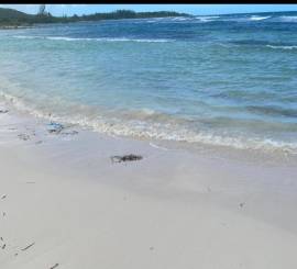 Residential Lot for Sale Trelawny, Duncans