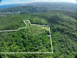 Residential Lot for Sale Trelawny, Duncans
