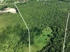 Residential Lot for Sale Trelawny, Duncans