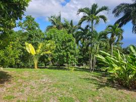 Resort Apartment/Villa for Sale St. James, Montego